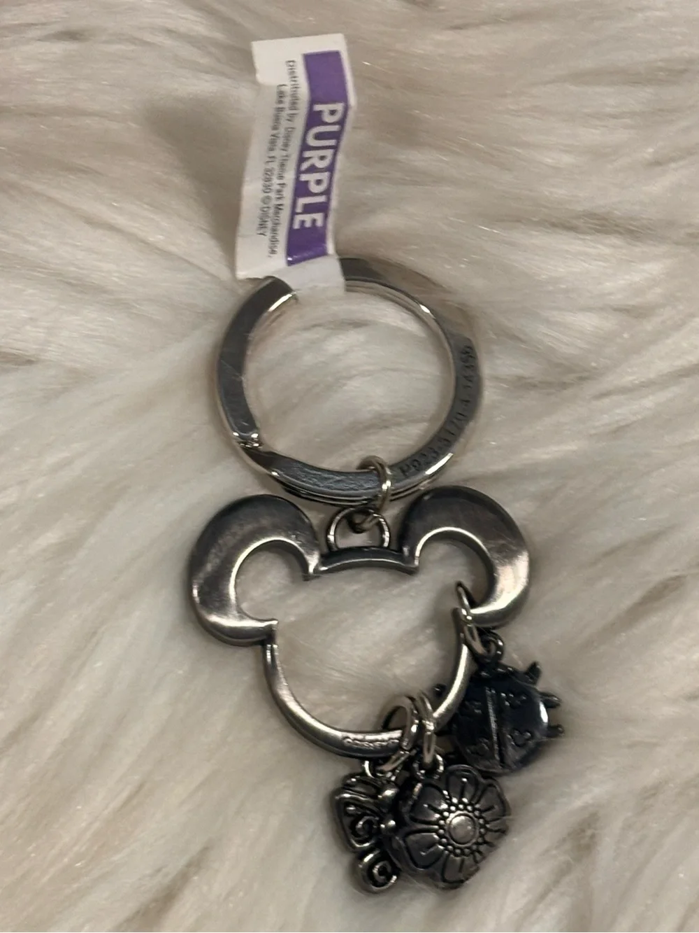 Disney Key Chain Ring - Flower And Garden Festival - Icons